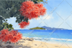 draw book illustration in watercolor