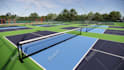 design 3d sports complex, sports facility, and  stadium