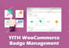 do wordpress theme installation, demo import within 1 hour