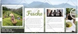 design your amazon brand story