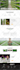 install wordpress, themes, and plugins, do demo upload and customize