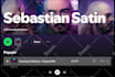 do professional spotify music promotion