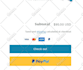 do shopify bug fix, shopify custom coding, shopify theme customization