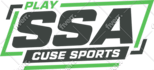 manually vector trace and edit logo into clean scalable print ready vector file