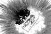 draw illustrations in black and white
