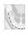 do medical and scientific illustrations