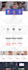 create a mobile friendly wordpress website design