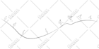 draw detailed architectural line art of any building or house