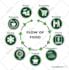 design infographic flow chart or diagram
