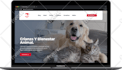develop wordpress website with responsive web design