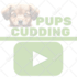 create a youtube watermark for your videos