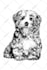 draw black and white  illustrations for children books
