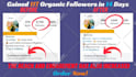 do fast organic instagram growth
