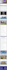 design custom mailchimp newsletter template