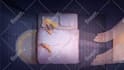 do creative concept illustration for you
