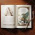 do book formatting, kindle ebook, and paperback formatting for amazon
