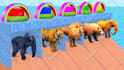 create 3d animation for kids learning