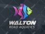 professionally design logo and favicon
