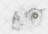 create pen and ink illustrations for books and merch