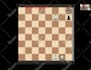 expertly coach your child in chess with proven strategies
