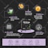 convert amazon, ebay product photograph into infographics