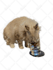 do photo cut out transparent background 200 images 24 hours