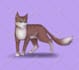 draw your warrior cats