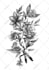 design custom tattoo art