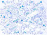 design innovative isometric illustration