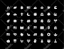 design unique and modern custom icons in any style