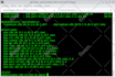 fix wordpress errors, plugin bugs, and website issues