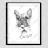 draw digital scribble pet portrait