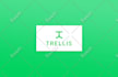 design a feminine, modern, elegant logo design