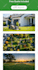 create wordpress business website development, design or redesign wordpress webs