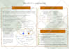 create a professional infographic design in 4 hours
