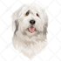 draw vector illustration your dog cat or pet 12 hrs