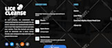 design redesign responsive wordpress car rental home care portfolio blog website