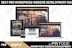 design or develop pro wordpress blog website