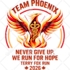 do complex vector tracing, raster to vector design