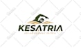 design text based logo for your business