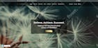 design and develop responsive wordpress website