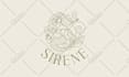 design feminine hand drawn logo