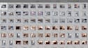 cull photos and retouch bulk wedding photos