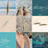 design modern instagram content for food brands