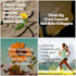 be your professional social media manager