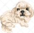 draw your pet or animal to realistic vector