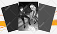draw light novel illustration all genre