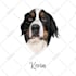 draw illustration your pets, dog, to cartoon vector potrait