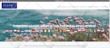 migrate any cms website to wordpress