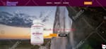 setup and optimise your google search ads campaigns